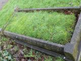 image of grave number 550001